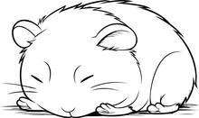 Illustration Of A Hamster Sleeping On A White Background   Vector