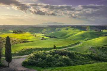 Poster - Countryside landscape in Volterra. Tuscany, Italy