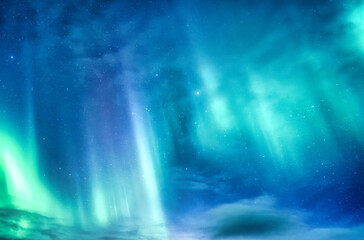 Wall Mural - bright and active aurora borealis or northern lights glowing in the night sky on arctic circle