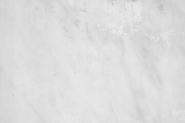 Canvas Print - marble texture white background