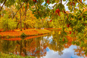 Colorful autumn park on a sunny day. Beautiful autumn landscape with yellow and red trees.