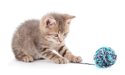 Wall Mural - Kitten with ball of yarn.