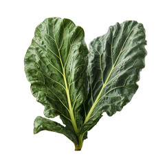 Wall Mural - Green collard vegetable cutout on a transparent background. Concept of food.