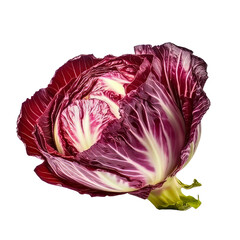 Wall Mural - Radicchio vegetable cutout on a transparent background. Concept of food.