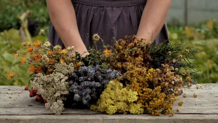 Wall Mural - Woman and herbs and dried flowers alternative medicine and medicinal tea. Selective focus.