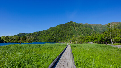 Wall Mural - 湯の湖と外山と湯ノ木道（湯ノ湖周回線歩道）