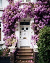 Beautiful Fully Blossom Wisteria Purple Flower In The Entrance Of A White Classic House In Spring