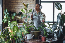 Happy young lady enjoying music, relaxing. Green trendy home interior. Carefree brunette African American woman listening to music, singing, using headphones, watering plants in living room.