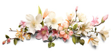 Bush Of Delicate Light Pink Flowers, Png File Of Isolated Cutout Object With Shadow On Transparent Background.