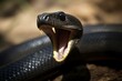 A close-up of a menacing black mamba snake with its mouth wide open. Generative AI