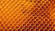 © Justlight - Texture of Honeycomb Beehive The intricate patterns of this texture are reminiscent of a honeycomb, with each cell carefully crafted and connected. The texture is lightweight, yet durable.