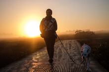 Looking Into The Sun At A Woman Walking A Medium Sized Dog On A Boardwalk Through An Estuary At Dawn In The Winter Season