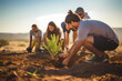 young people planting tree in desert