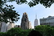 New York City cityscape viewed from Bryant Park, a beloved urban oasis located in the Manhattan borough of New York City. This public park offers a tranquil escape amidst the bustling city.