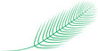 Digital png illustration of green fern leaf on transparent background