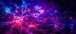 Visualization of development of neural connections, neon illumination of signal along nerve cells