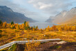Autumn in Tromso and it's neighbouring island Kvaloya. High quality photo