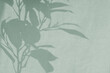 © Viktoriia - Beautiful natural floral sunlight shadow on sage green colored linen texture cloth background. Aesthetic sustainable eco business brand template