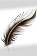 a quill is feeling the mystical breeze 2d white background classic easy in a symbolic and meaningful style no overflow 