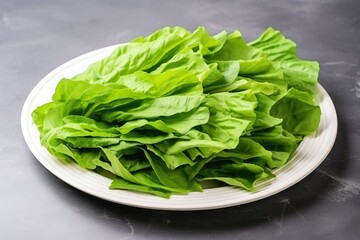 Sticker - green lettuce leaves on a white plate ready for assembly