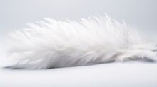 Soft Feather Details Grace The Surface Of This Pristine White Background.
