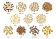Cereal crop seeds vector set