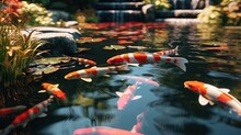 Colorful Decorative Fish, Koi Fish Float In An Artificial Pond, View From Above
