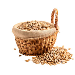Wall Mural - Barley grains in a basket on transparent background PNG. Grains concept beneficial to humans.