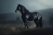 Black mustang horse. Beautiful equestrian horse freedom symbol. Generate ai
