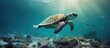 Sea pollution impacts marine environment visible in photo of turtle swimming amidst plastic waste and debris With copyspace for text