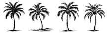 Set Of Woodcut Illustration Of Palm Trees, Surfer Lifestyle Collection