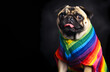 pug dog wrapped in lgbt flag. rainbow in background painted.generative ai cute happy domestic pet animal