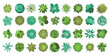 Trees top view. Different plants and trees vector set for architectural or landscape design. (View from above) Nature green spaces. Vector illustration.