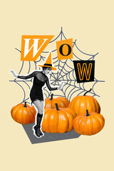 Sticker - Vertical collage of impressed frightened mini black white colors conjurer girl big pumpkins spider web isolated on creative beige background