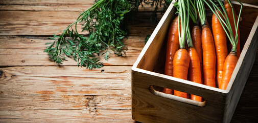 Poster - Fresh carrots in old box.