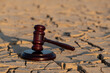 A judge's gavel on heat-cracked clay in the desert