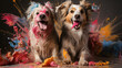 Dogs playing and smiling with color powder exploding in studio setting