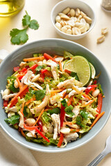 Wall Mural - Thai style chicken salad