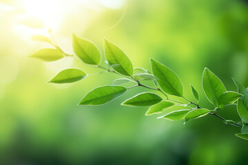 Sticker - Close-up of a green leaf, blurred background