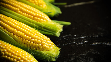 Poster - Fresh corn on black table.