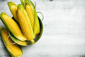 Sticker - Fresh corn on light table.