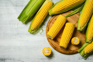 Sticker - Fresh corn on light table.