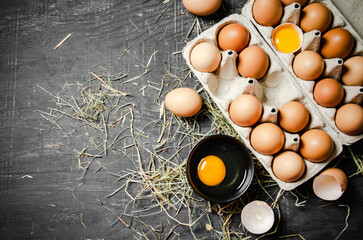 Wall Mural - Fresh chicken eggs on dark background.