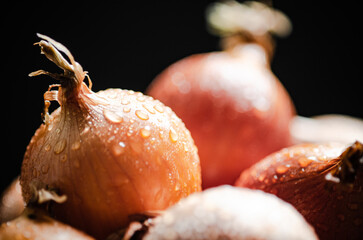 Wall Mural - Fresh onions . On table