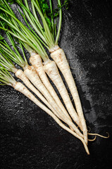 Canvas Print - Fresh parsley root .