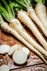 Canvas Print - Fresh parsley root .