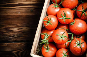 Sticker - Fresh tomatoes. On wooden table.