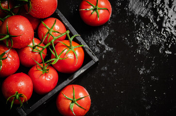 Poster - Fresh tomatoes. On black table.