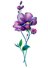 Wall Mural - Purple Watercolor Flower Round Bouquet Pretty isolated on a white background.