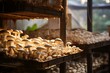 Organic mushrooms on a mushroom farm, cultivated naturally for mushroom production industry. Generative AI